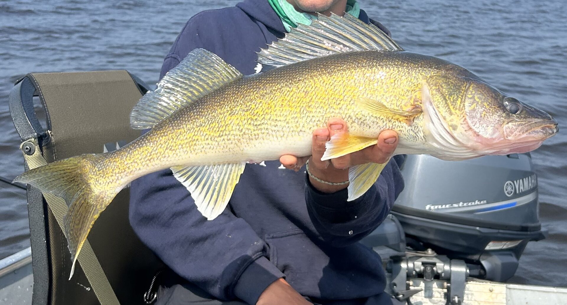 Walleye